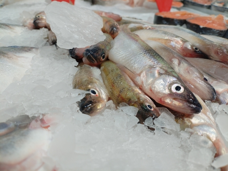 Североморский Россельхознадзор назначил штрафы на сумму более 15 млн рублей