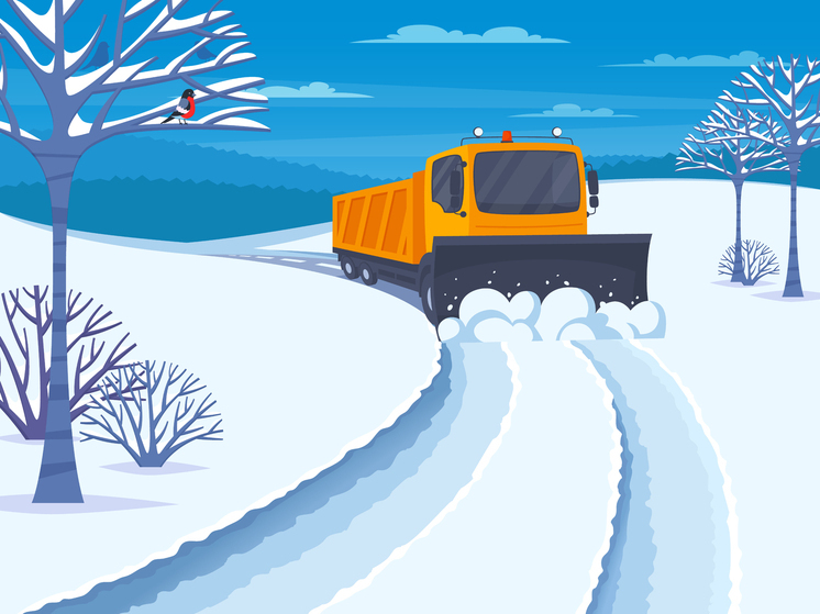 Тамбовская область мобилизовала 89 бригад энергетиков для борьбы с последствиями непогоды