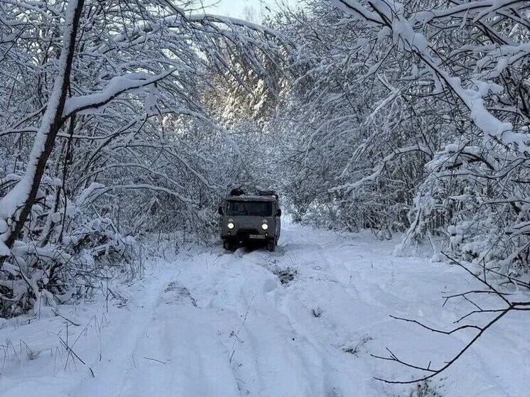 В Ярославской области энергетики оперативно устраняют последствия обильного снегопада