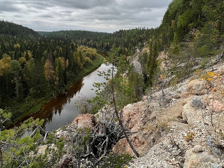 Минлеспром Поморья подвёл итоги работы на заповедных территориях за год