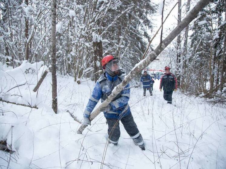 Энергетики Тульской области в усиленном режиме устраняют последствия непогоды