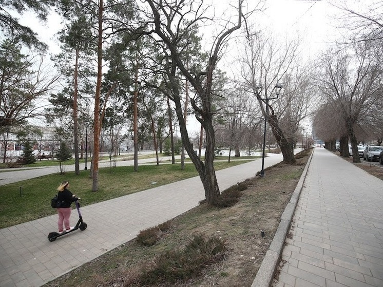 В Волгограде подвели итоги ключевых проектов развития Тракторозаводского района