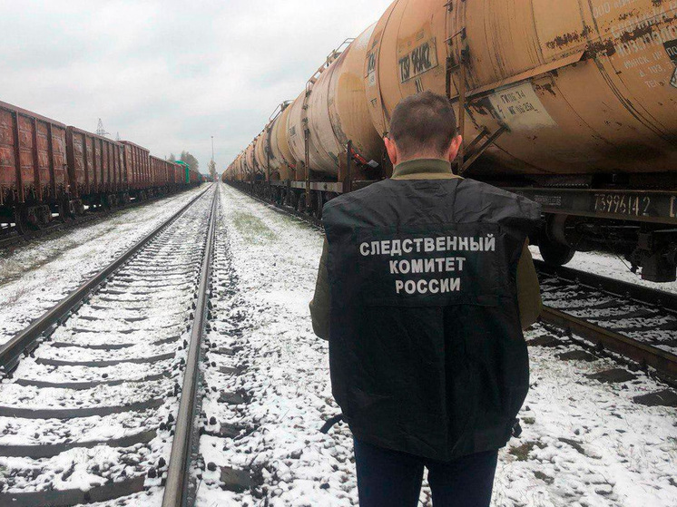 Александр Бастрыкин поручил ускорить расследование дела о смерти мужчины в Липецке