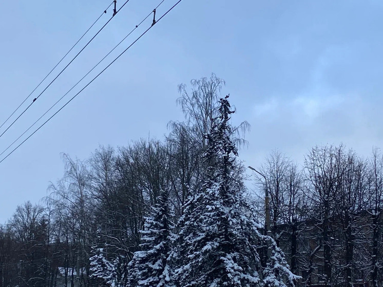 Синоптики дали прогноз в Липецкой области на 10 января