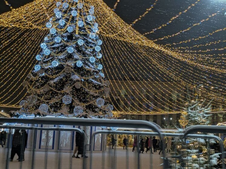 В Воронеже закрыли площадь Ленина и каток после воздушной тревоги