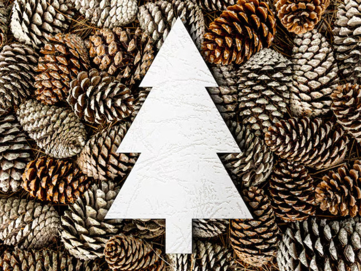 В Югре организован приём новогодних ёлок на утилизацию