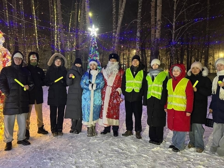 В столице Тувы работает  «Новогодний патруль ДПС»