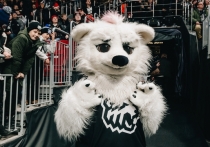 Не складываются отношения у «тигров» с огненной лошадью, в наступившем году у больших кошек из Хабаровска все никак не получается догнать строптивых травоядных из отряда непарнокопытных