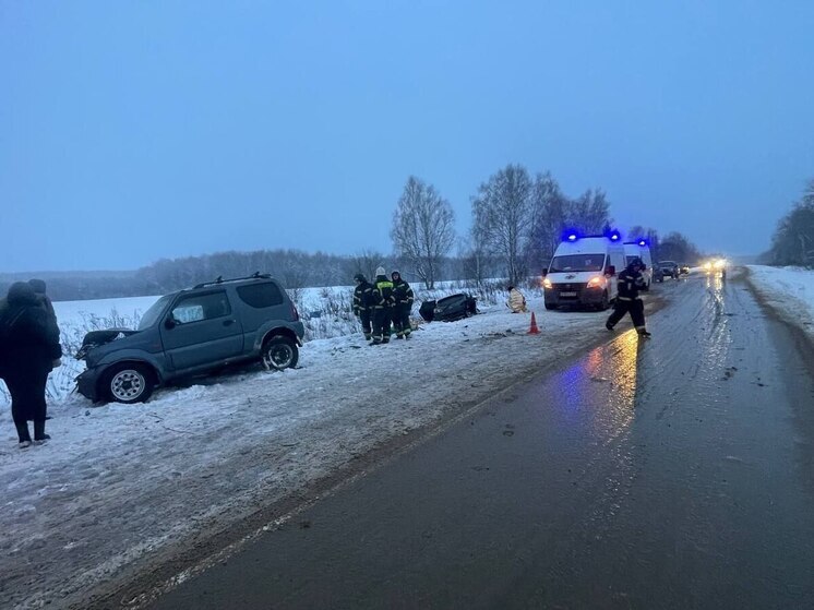 Трагическая авария под Тарусой унесла жизни двух девочек из Серпухова