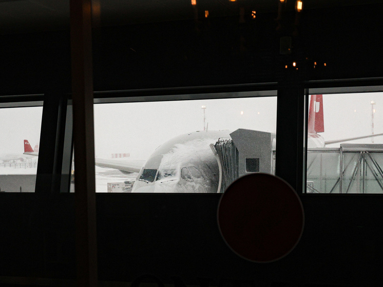 В Москве отменено 11 авиарейсов на фоне снегопада, 48 задержаны