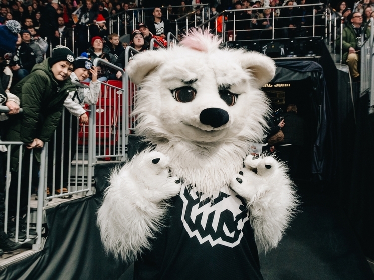 Не складываются отношения у «тигров» с огненной лошадью, в наступившем году у больших кошек из Хабаровска все никак не получается догнать строптивых травоядных из отряда непарнокопытных