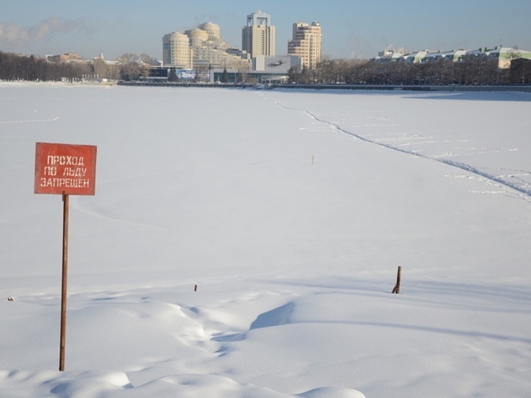 Флористический арт-объект «Зимний сад» появился в центре Екатеринбурга