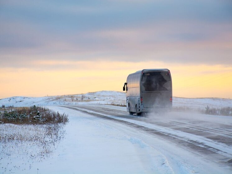 В селе Мужи поездки на автобусе станут платными с 12 января