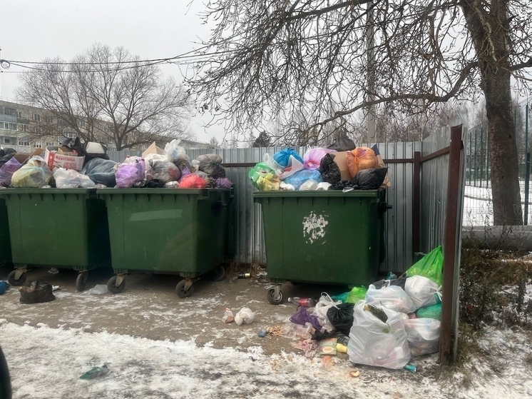 Камешковская прокуратура добивается правильного сбора мусора