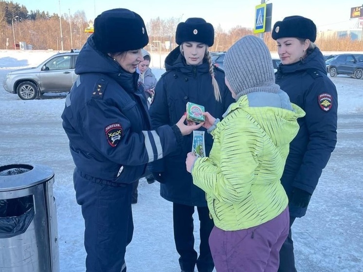 В Екатеринбурге автоинспекторы вышли в рейд по местам массового скопления детей и взрослых
