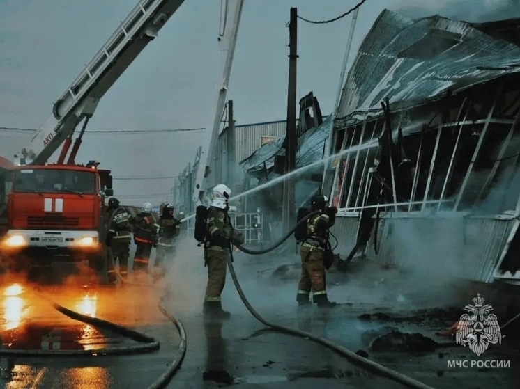 В Ростовской области за прошедшие сутки ликвидировано восемь очагов возгорания
