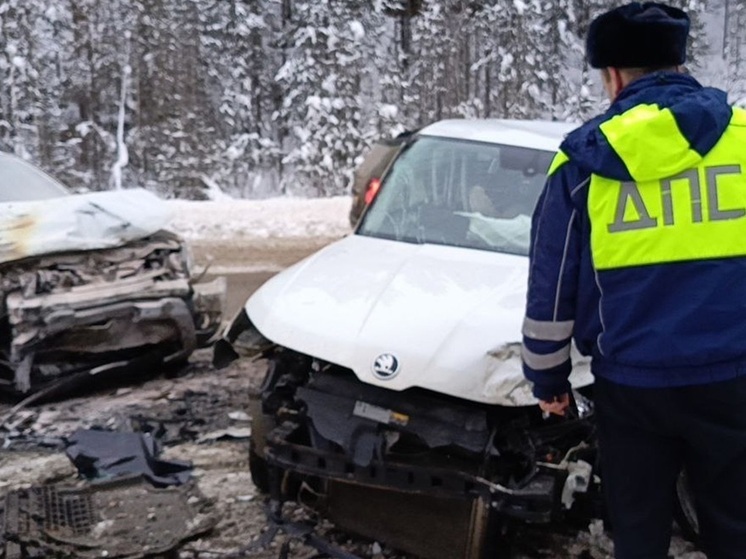 Стали известны подробности аварии с тремя пострадавшими возле Нижнего Тагила