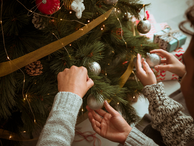 Когда убирать ёлку, чтобы не спугнуть удачу? Названы даты для разбора елок в 2026 году