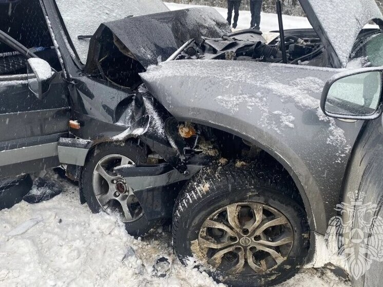 В Кинешемском районе в лобовом столкновении погиб 35-летний мужчина