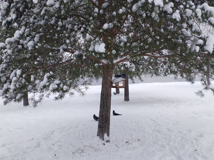 10 января Калининград ждут снежная метель и опасная гололедица