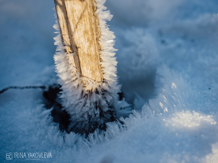 На севере Карелии сохранится опасная изморозь в ближайшие сутки