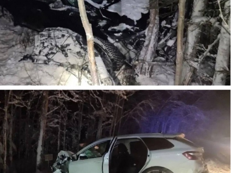 На трассе «Кола» столкнулись два автомобиля