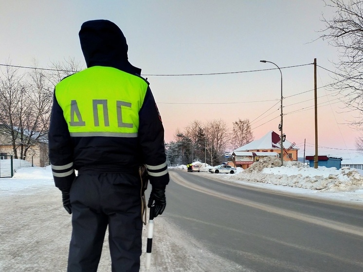 Карельским автомобилистам грозят штрафы за залепленные снегом номера