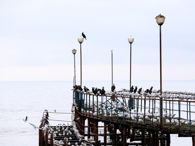 Украинский комбриг устроил к себе жену пиарщиком, когда та отдыхает на курорте