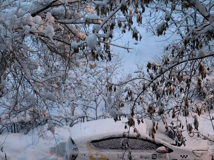 Во Владивостоке обещают метель и гололед на 10 января