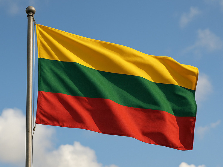 Суд вынес решение о невиновности литовки, которая призвала русскоязычных жителей покинуть страну