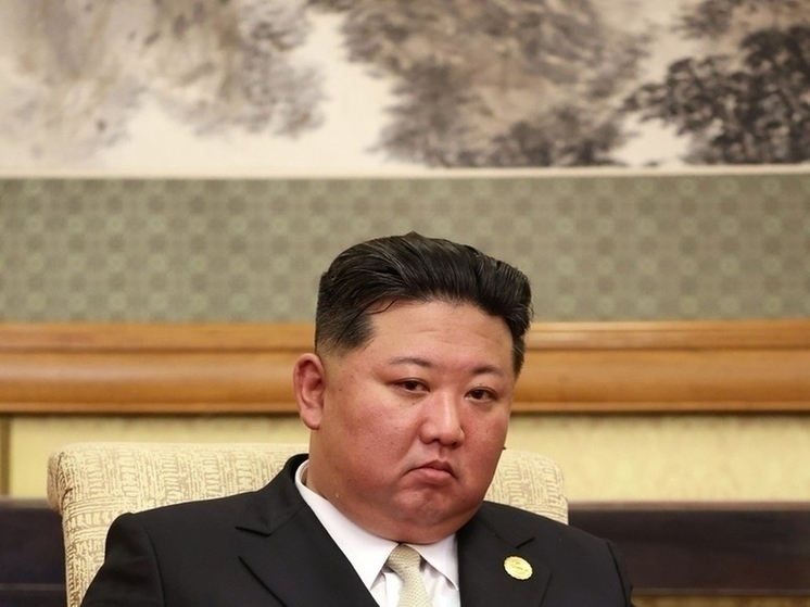 КНДР сравнила поведение Сеула с действиями Киева, осудив отправку дронов