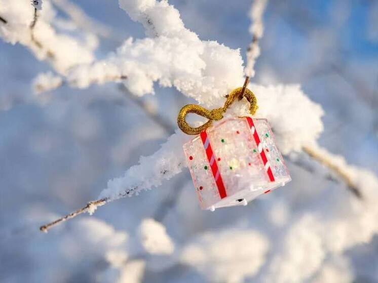 Глава Ямальского района исполнил желания троих детей из Нового Уренгоя