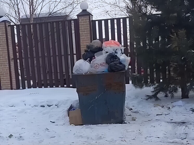 В Хабаровске ликвидировали несанкционированную контейнерную площадку на Воронежском шоссе