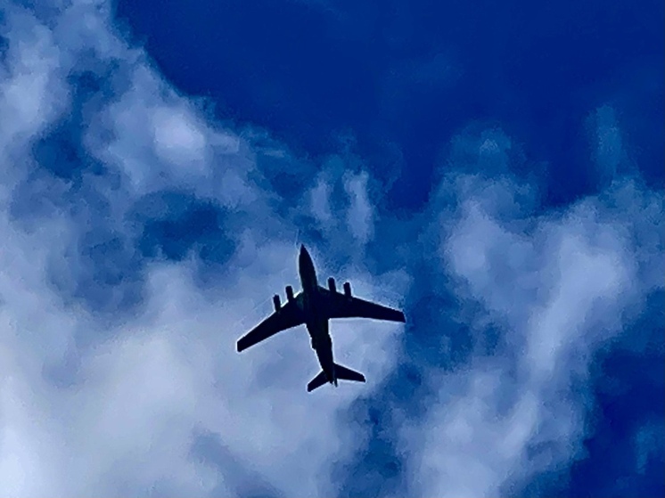 Истерзанная овчаркой маленькая Катя из Черногорска вернулась домой, но ненадолго