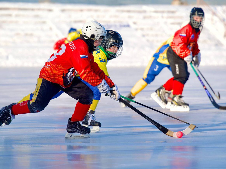 В Биробиджане турнир по хоккею с мячом закончился победой «Надежды»