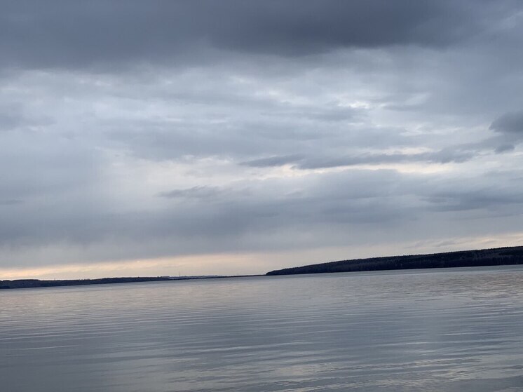 Пензенский Минлесхоз перевыполнил планы по пополнению федерального и регионального бюджетов