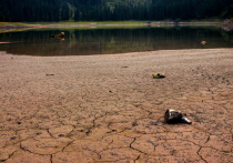 Пятница, 13 ноября 2026 года