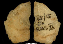 Ученые обнаружили следы растительных ядов на наконечниках стрел каменного века, которые использовались охотниками-собирателями в Южной Африке около 60 тысяч лет назад