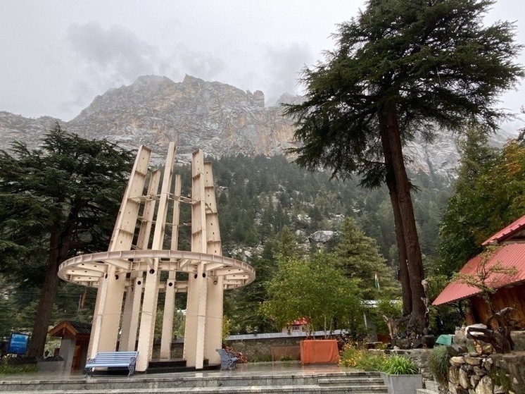 Посольство России предупредило о риске нападения песчаных блох в Индии