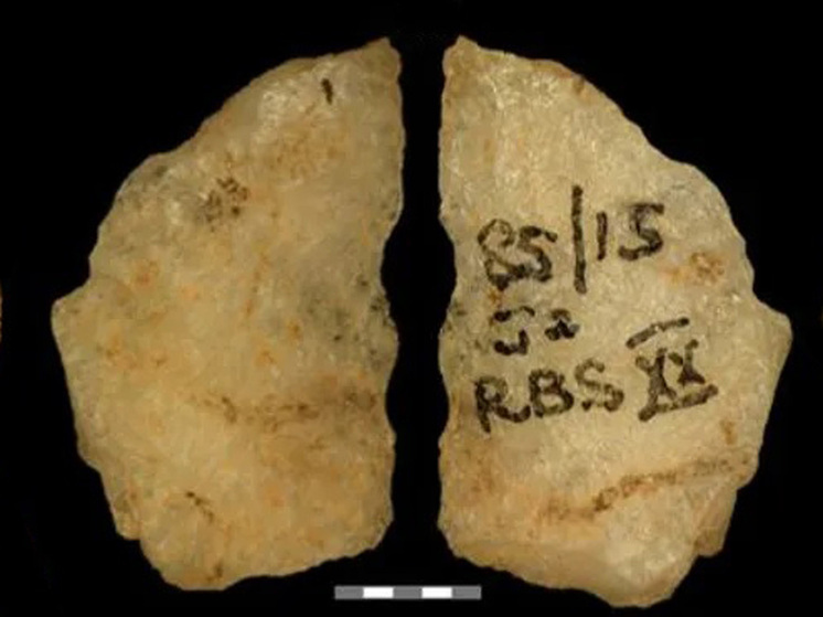 Доисторические охотники использовали ядовитые стрелы уже 60 тысяч лет назад