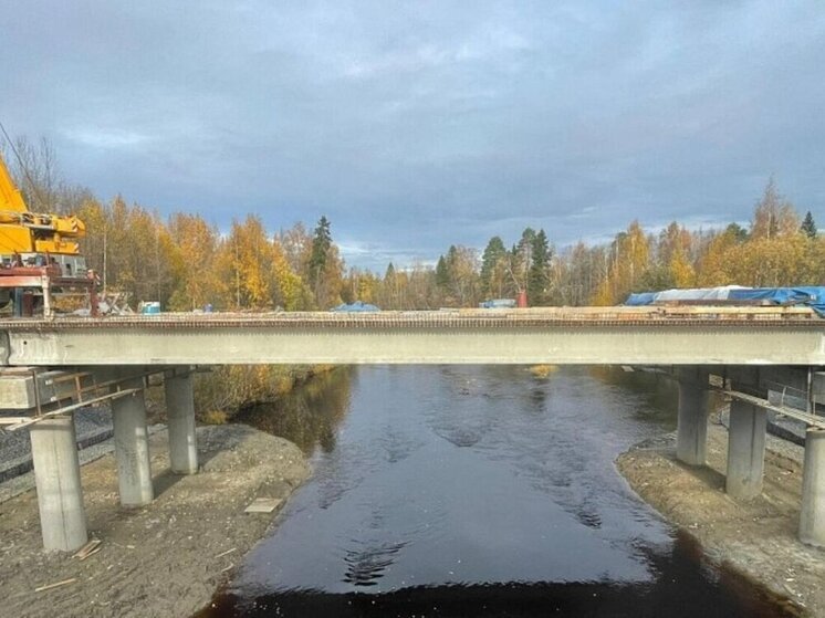 Капитальный ремонт моста через реку Солзу, находящегося на 34-м километре трассы Архангельск — Онега в Приморском районе, планируется завершить в нынешнем году