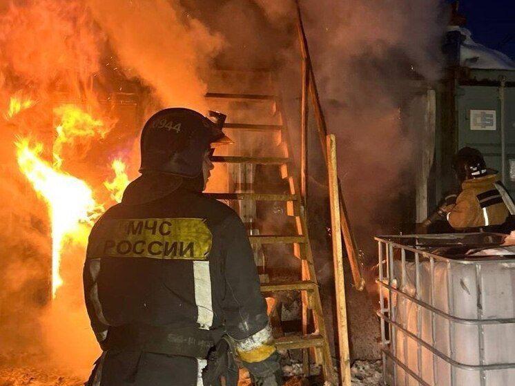 В Ленобласти пожарные спасли 9 человек