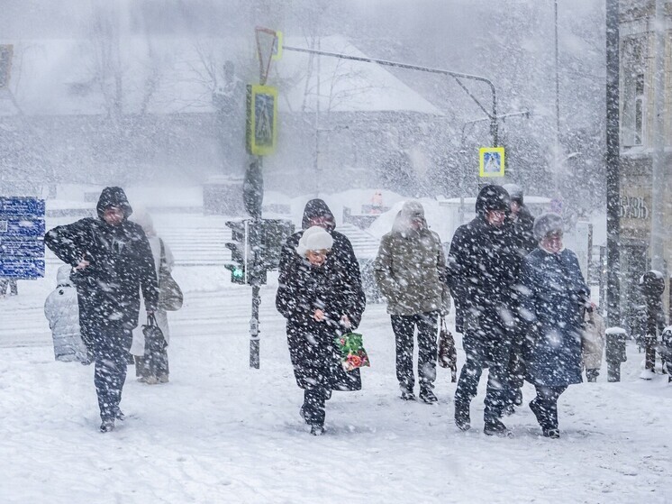 Владивосток накрыла снежная буря с ураганным ветром до 30 м/с