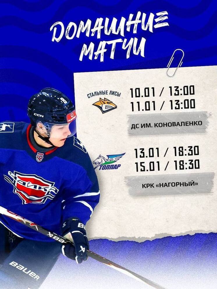«Чайка» начинает год домашней серией против «Стальных Лис»