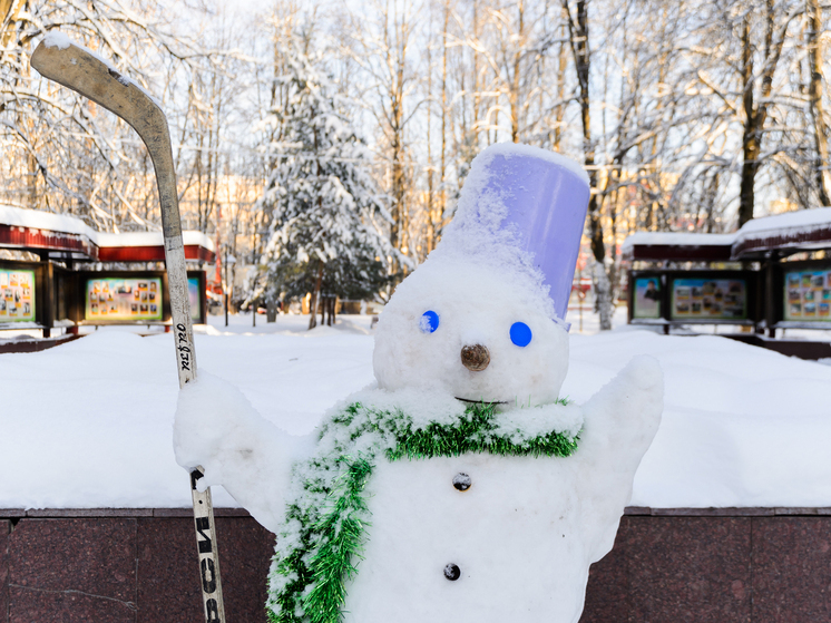 Серпуховичей приглашают на Фестиваль снеговиков
