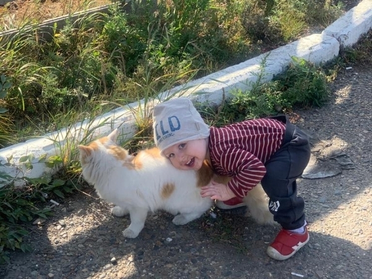 Супруги из Забайкалья стали родителями в шестой раз