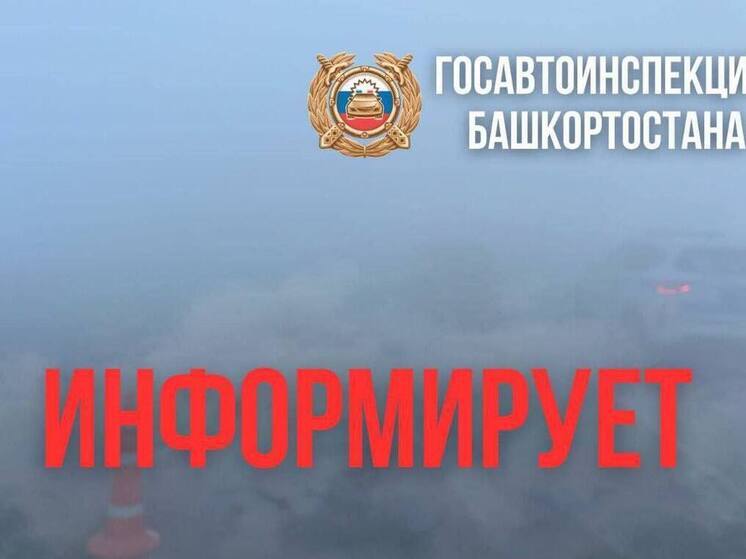 В Башкирии из-за тумана ограничили движение на трассе Р-240