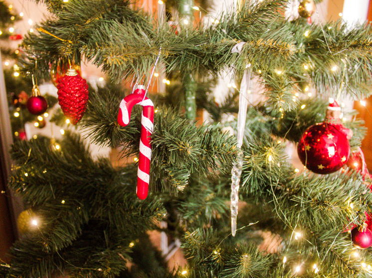 Петербургские спасатели пояснили порядок действий при возгорании новогодней елки