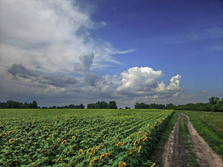 Инвестиции в животноводство и экосбор: алтайские депутаты подвели итоги сельскохозяйственного года