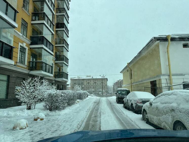 Стрит-ритейл в Петербурге уперся в нехватку площадей